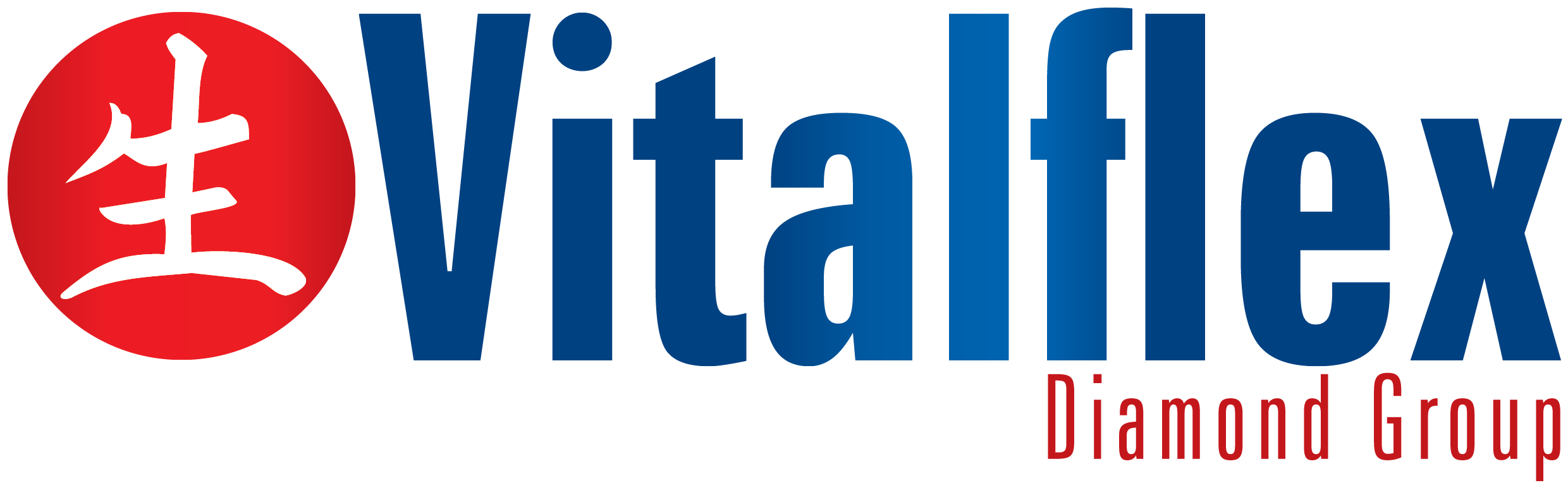 logo_vitalflex_cor-02